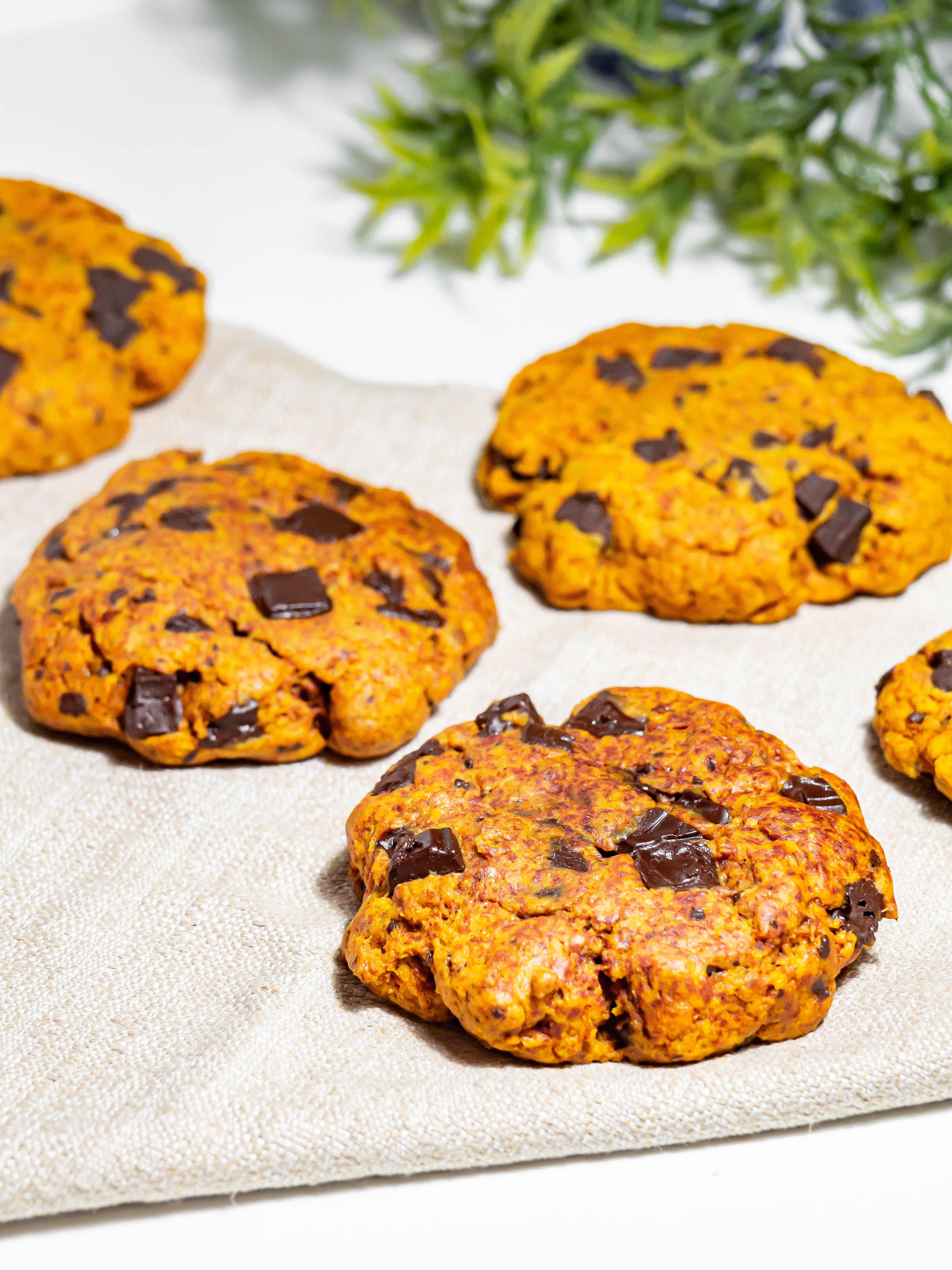 Turmeric and Chocolate Cookies