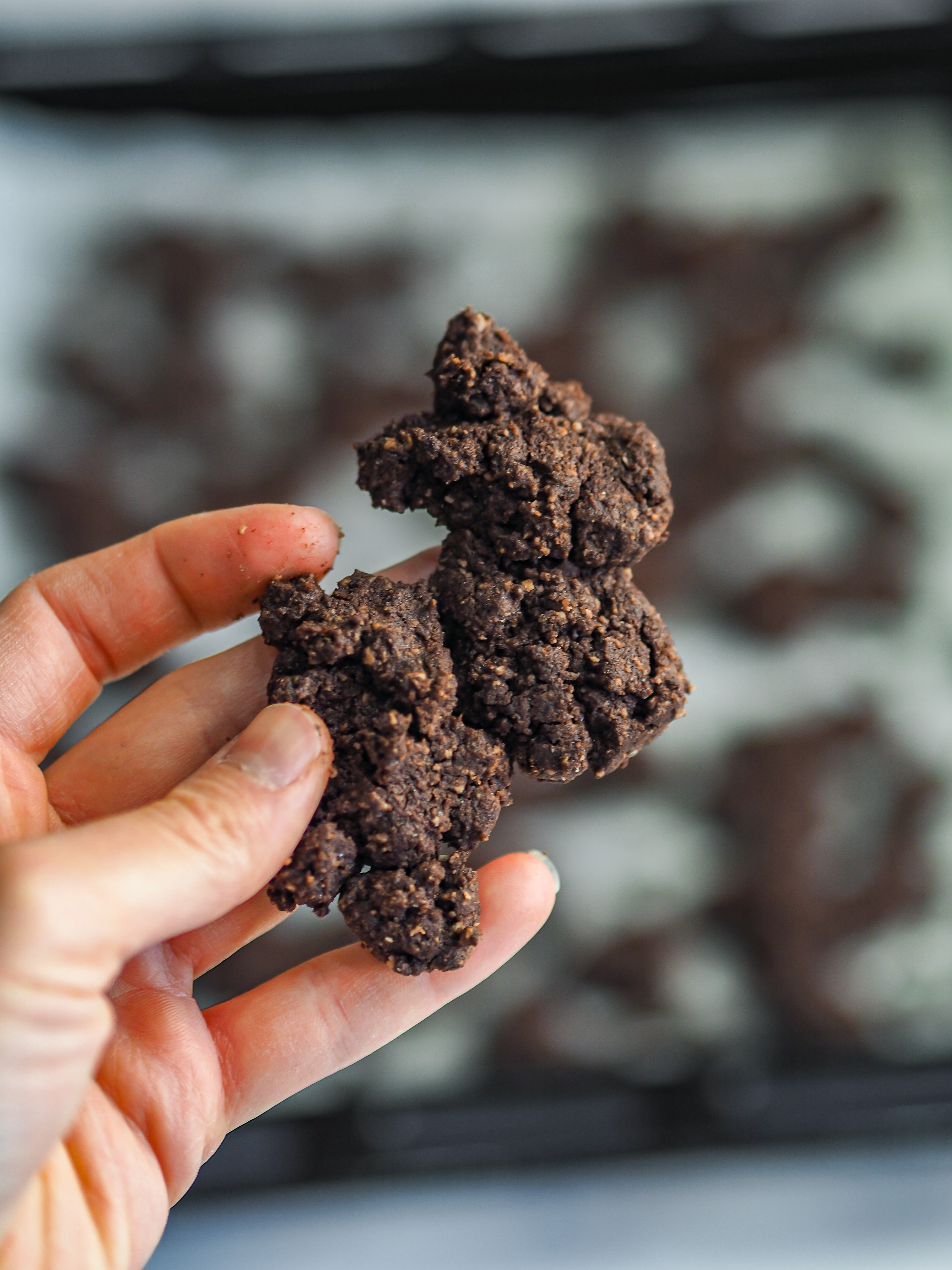 Cocoa Crumble