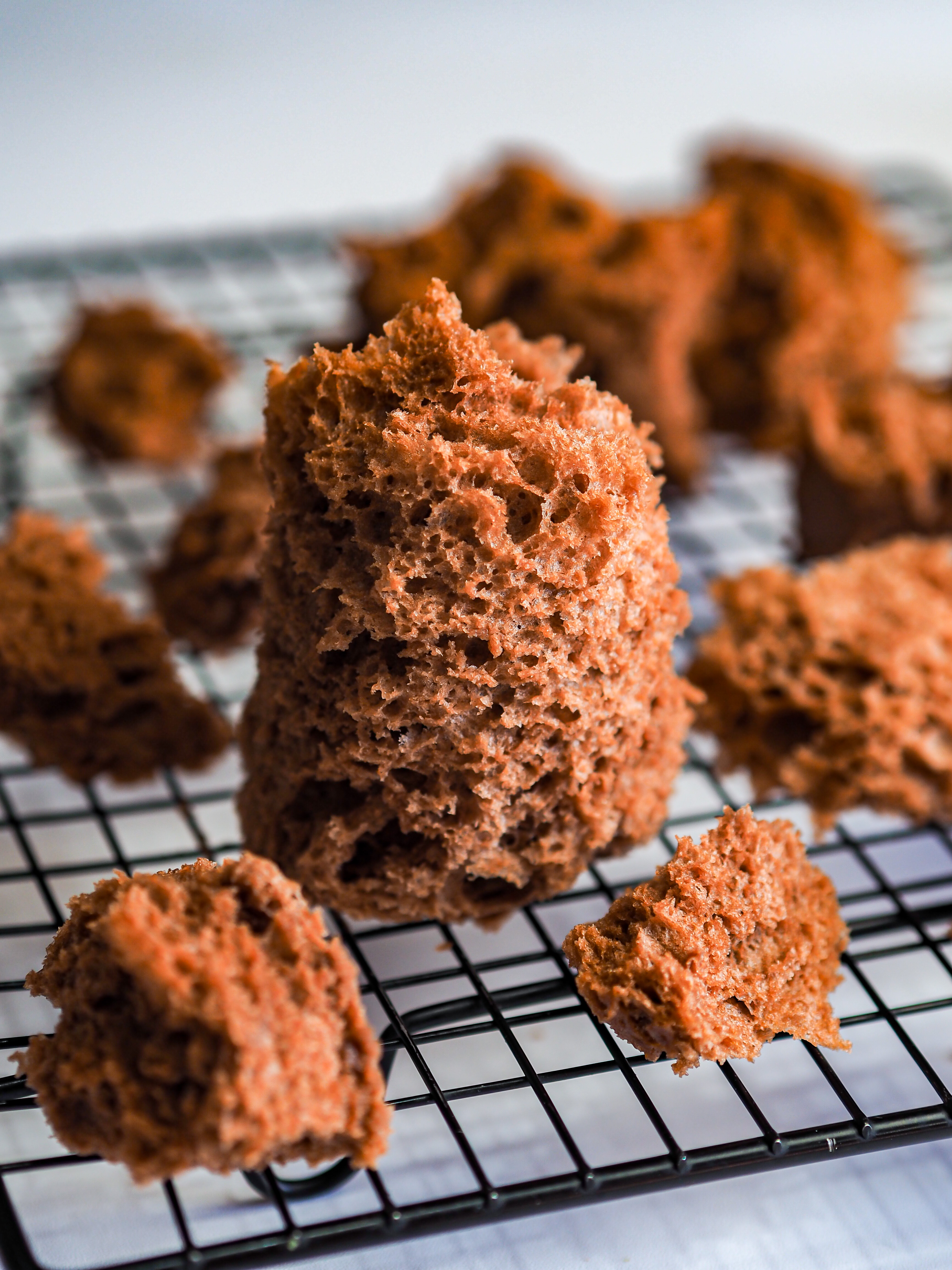 Cocoa Sponge