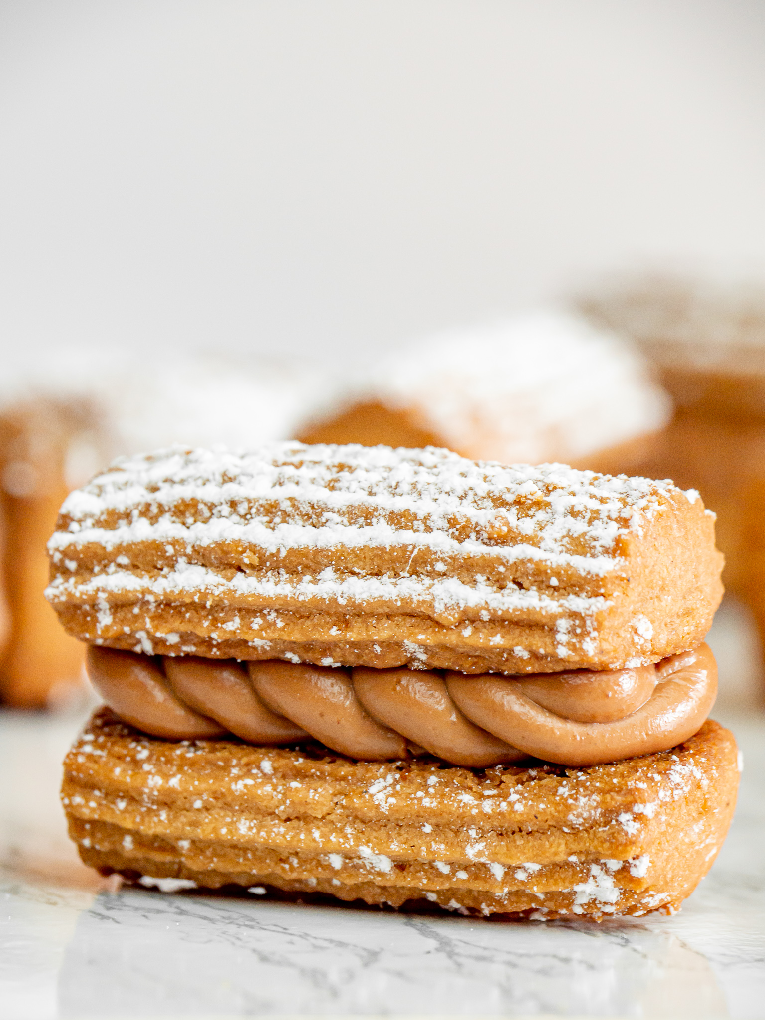 Chocolate Peanut Shortbread Cookies