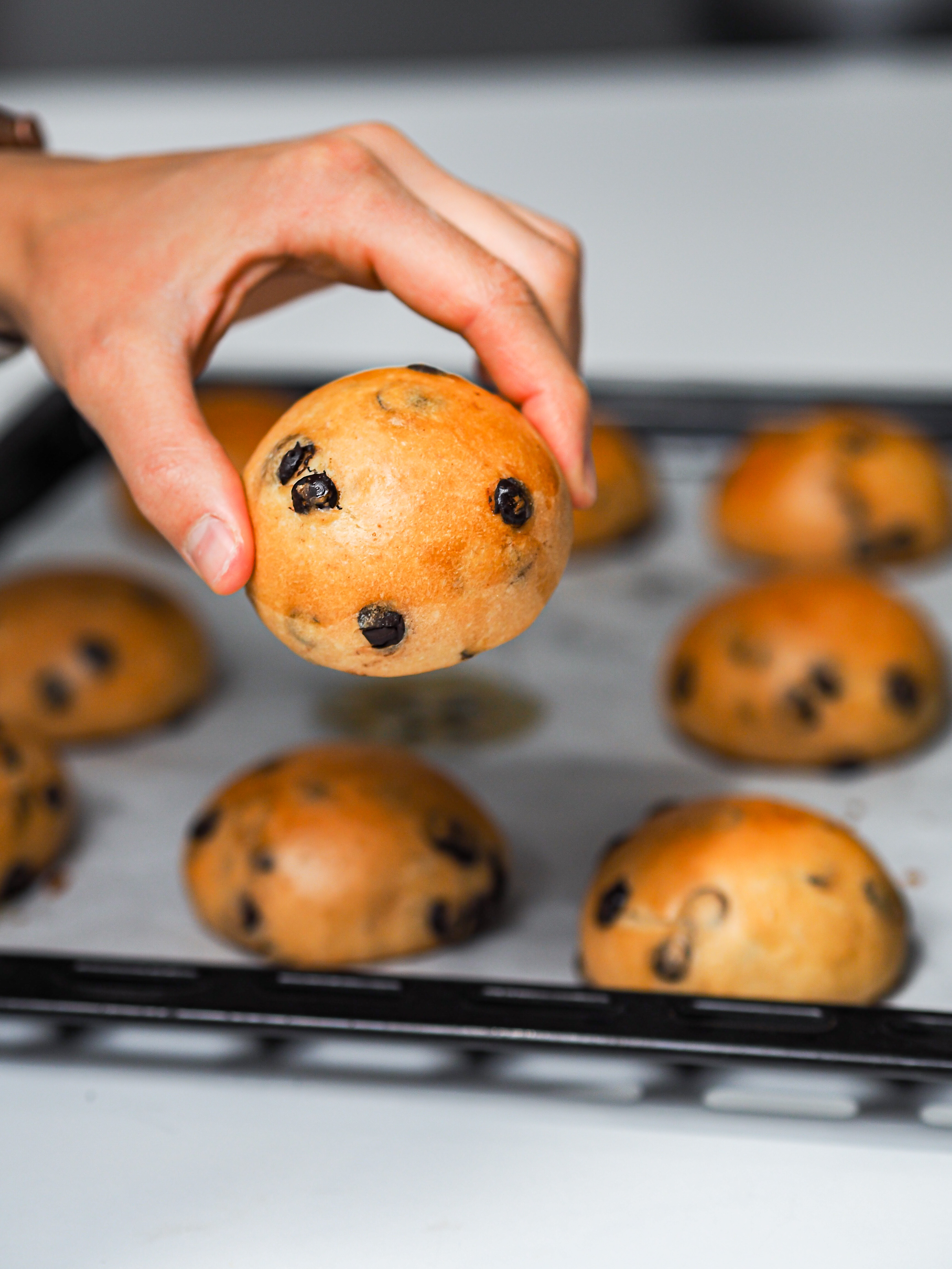 Chocolate Chip Brioche Buns