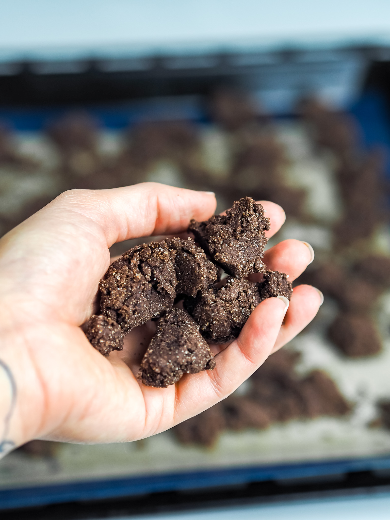 Chestnut and Cocoa Crumble