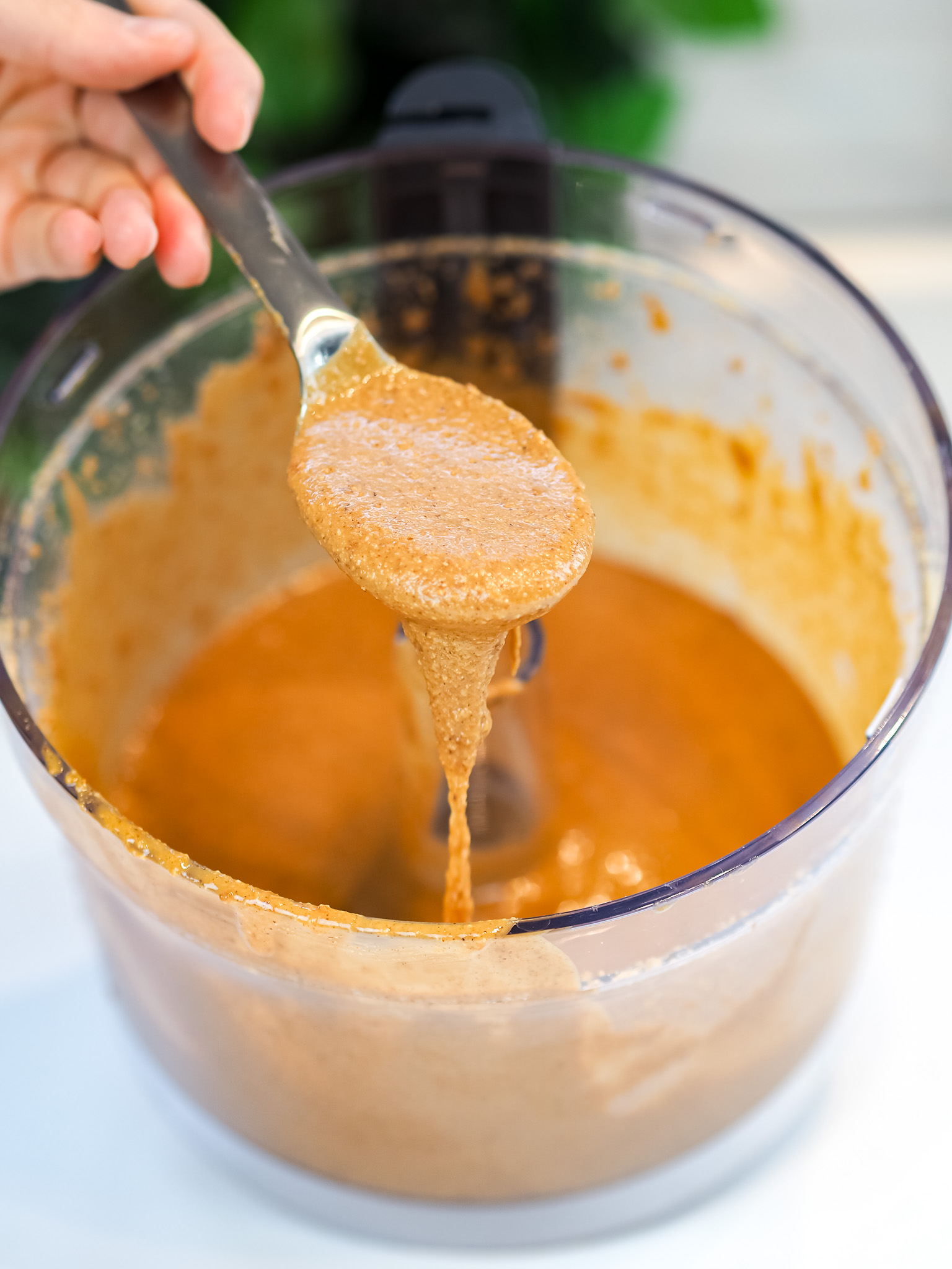 Hazelnut Paste