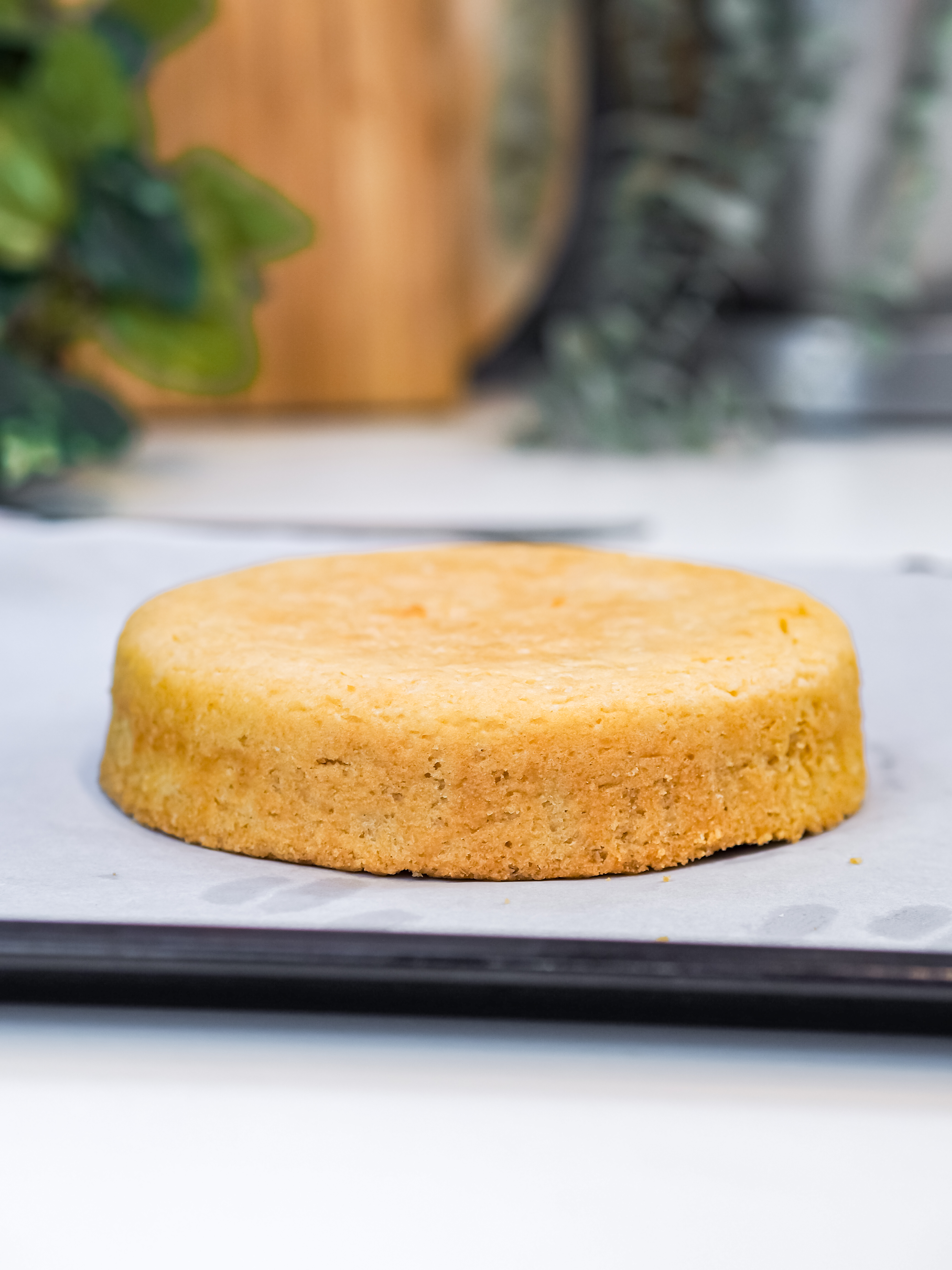 Gluten-Free Sponge Cake