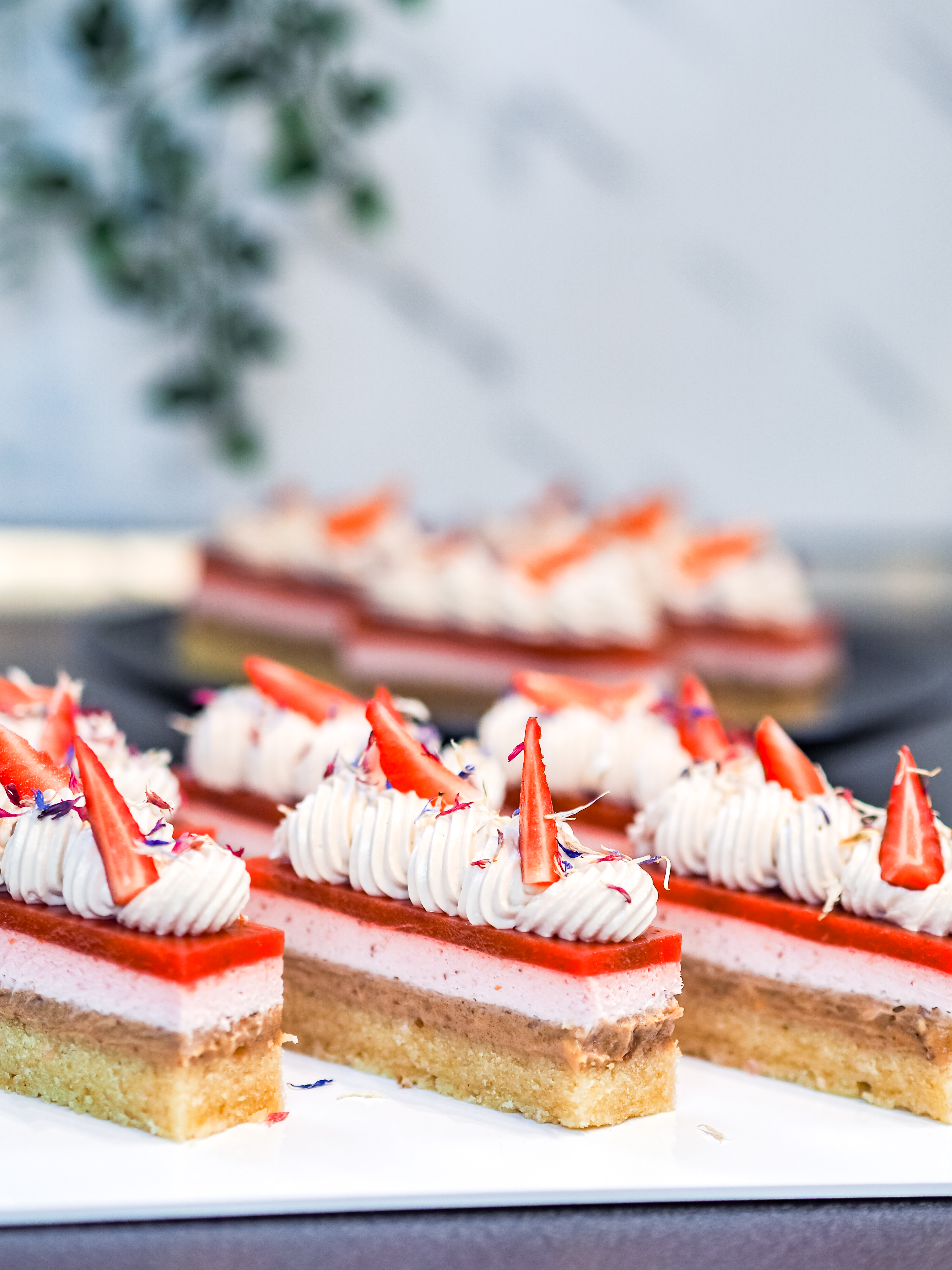Hazelnut and Strawberry Entremet