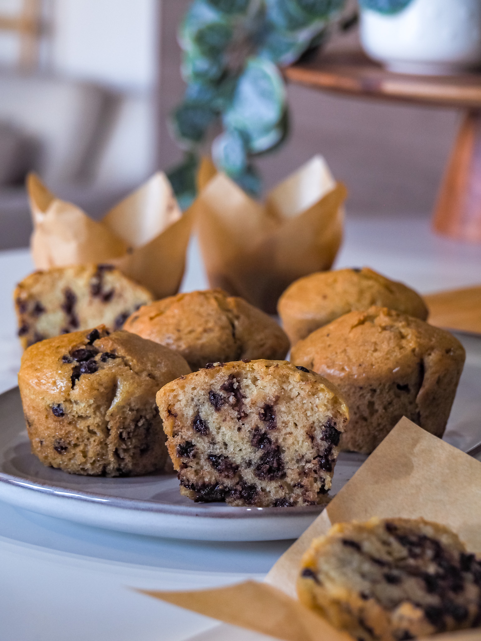 Chocolate Chip Muffins