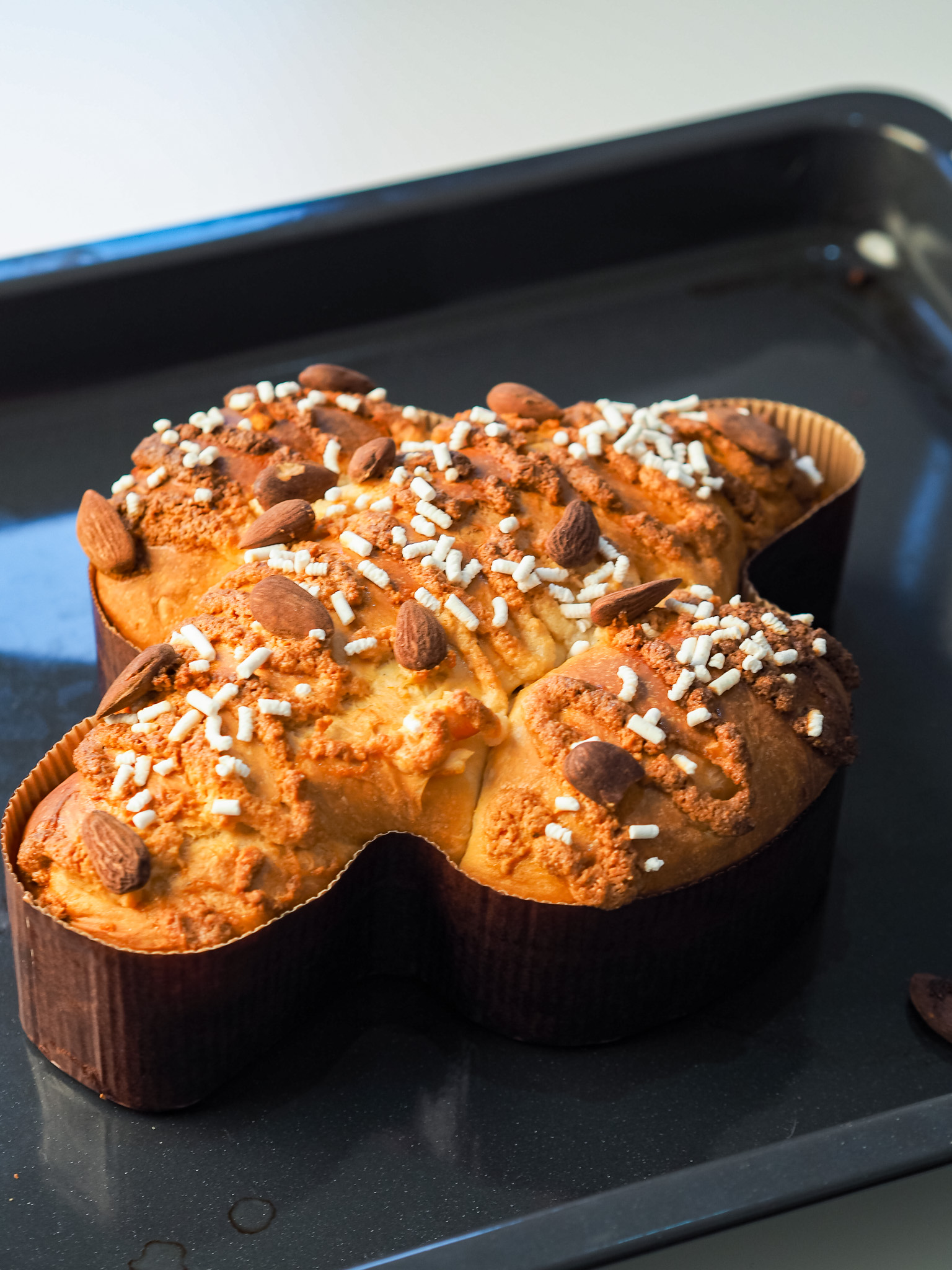 Colomba