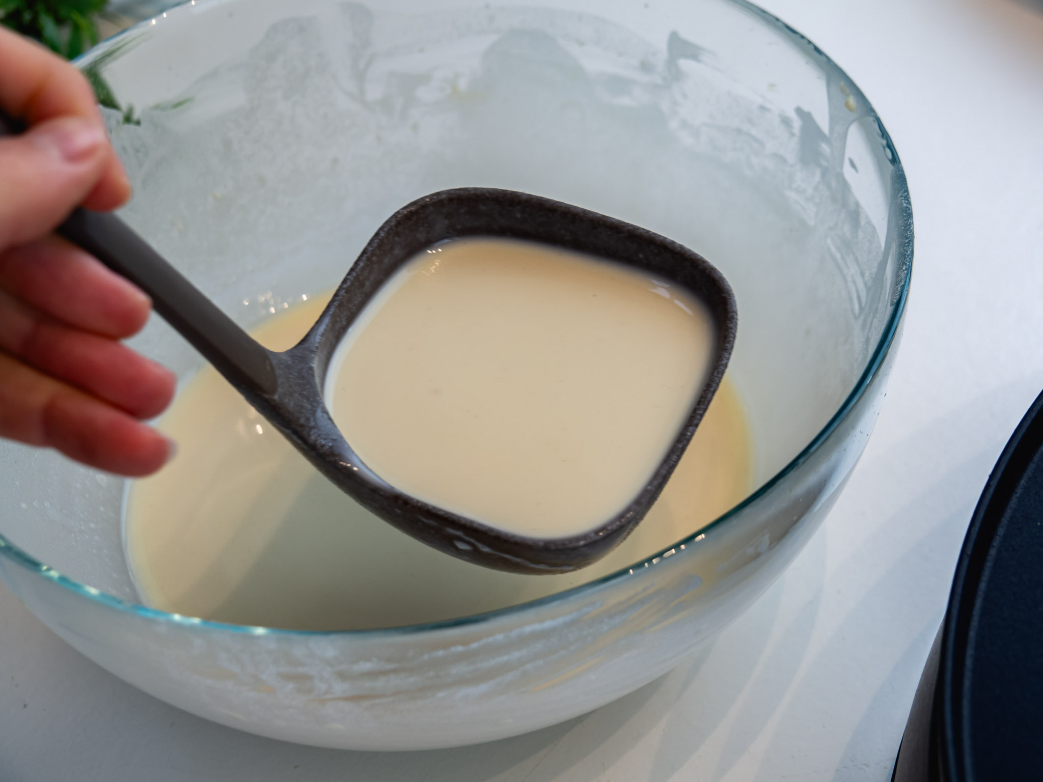 Photo 10 — step 4